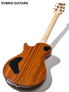 Paul Reed Smith(PRS) P245 Wood Library 10Top with Piezo 2015 Limited 全体裏面 サムネイル