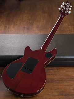 T's Guitars Arc-Special Custom Order Trans Black   全体裏面 サムネイル
