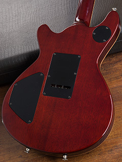 T's Guitars Arc-Special Custom Order Trans Black   ボディー裏面 サムネイル