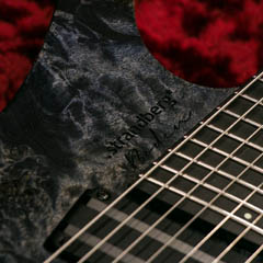 Strandberg J Series Custom 2016 Collection Boden J7 Blue Burl Top 写真11 サムネイル