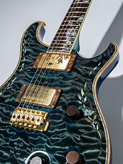 Paul Reed Smith(PRS) Private Stock 10th Anniversary Custom24 Aquamarine 写真10 サムネイル