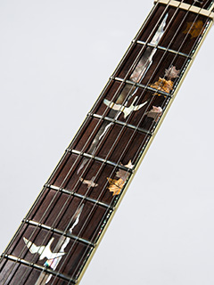 Paul Reed Smith(PRS) Private Stock 10th Anniversary Custom24 Aquamarine 写真12 サムネイル