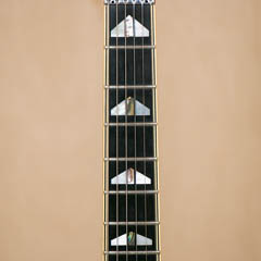 YAMAHA SG-T2 See Through Red TAKANAKA MASAYOSHI Signature ネック サムネイル