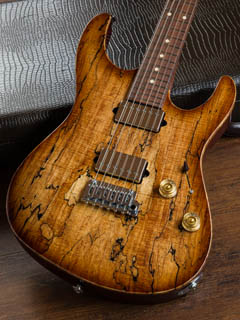 Suhr Dealer Select Modern Spalted Maple Top Customer Top Wood Selection 2017 ボディー正面 サムネイル