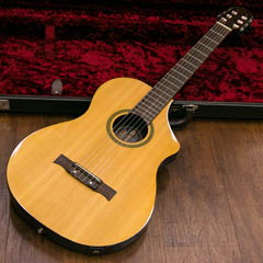 LINE 6 Variax Acoustic 300 全体正面 サムネイル