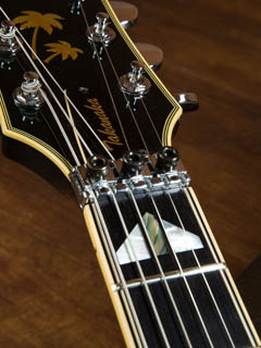 YAMAHA SG-T2 See Through Navy TAKANAKA MASAYOSHI Signature 写真10 サムネイル