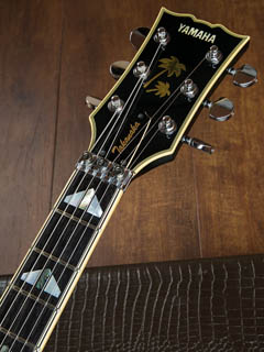 YAMAHA SG-T2 See Through Navy TAKANAKA MASAYOSHI Signature ヘッド正面 サムネイル