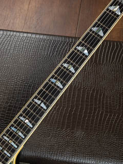 YAMAHA SG-T2 See Through Navy TAKANAKA MASAYOSHI Signature 指板 サムネイル