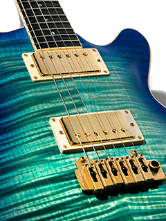 T's Guitars ARC-STD Centura Blue with Gold Hardwear 写真10 サムネイル