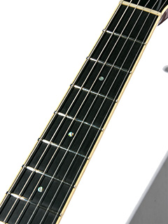 T's Guitars ARC-STD Centura Blue with Gold Hardwear 写真11 サムネイル