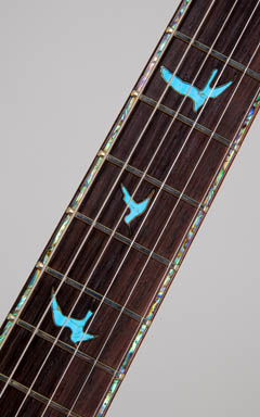 Paul Reed Smith(PRS) Private Stock McCarty Brazilianrose Aquamarine 2008 写真9 サムネイル