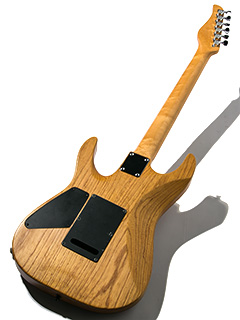 dragonfly HI-STA Exotic Figured Karin & Birdseye Maple 2004 全体裏面 サムネイル