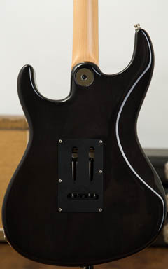 Freedom Custom Guitar Research HYDRA 2-Point 5A Flame Top HNO(焔) ボディー裏面 サムネイル