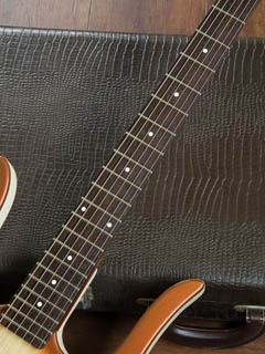 Danelectro Longhorn Guitar LHGTR Copper Burst 指板 サムネイル