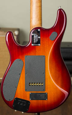 MUSIC MAN John Petrucci 6ST 2012 Limited Edition Special Honey Burst ボディー裏面 サムネイル