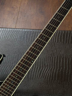 Grass Roots Horizon Type G-HR-52G Black 指板 サムネイル