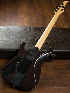 Caparison Dellinger CL12 EF Trans Black 全体裏面 サムネイル