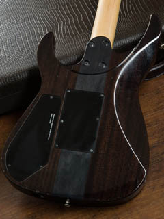 Caparison Dellinger CL12 EF Trans Black ボディー裏面 サムネイル