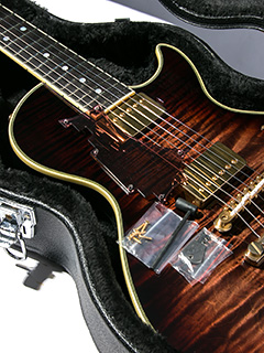 Sugi SH485E EM/MAHO DW 2009 写真10 サムネイル