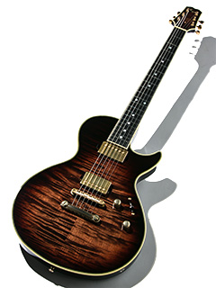 Sugi SH485E EM/MAHO DW 2009 全体正面 サムネイル