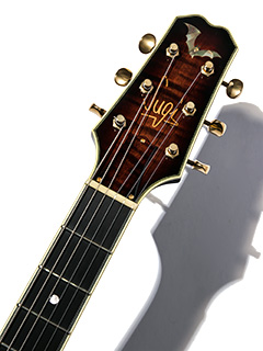 Sugi SH485E EM/MAHO DW 2009 ヘッド正面 サムネイル