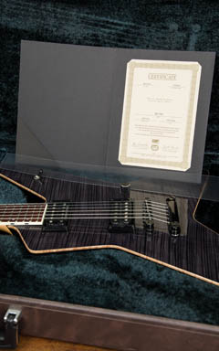 ESP Custom Order Randam Star RS-780 Trans Black 2015 写真9 サムネイル