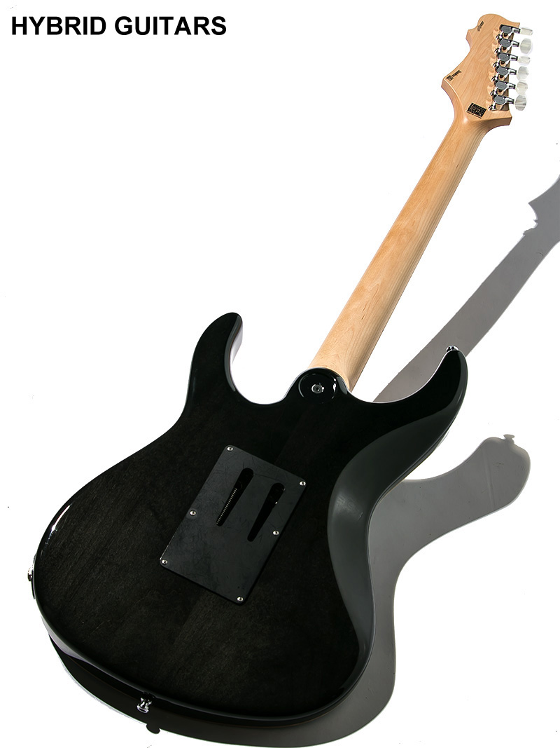 Freedom Custom Guitar Research HYDRA FRT 24F 5A Quilted Maple SER(清流) 2