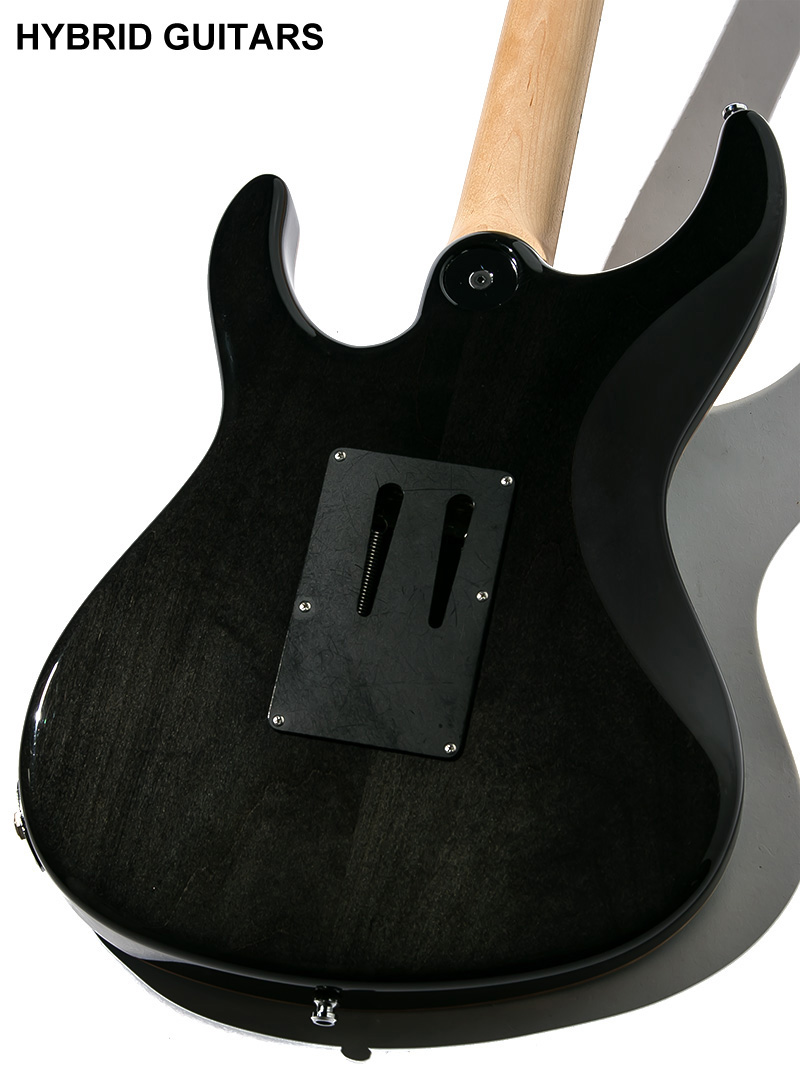 Freedom Custom Guitar Research HYDRA FRT 24F 5A Quilted Maple SER(清流) 4