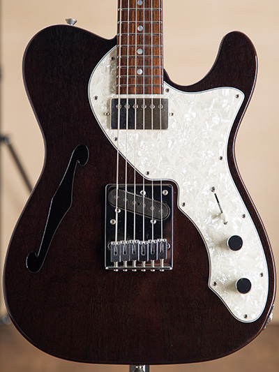 Freedom Custom Guitar Research Black Pepper Trans Black 2014