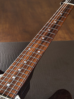 Freedom Custom Guitar Research Black Pepper Trans Black 2014 指板 サムネイル