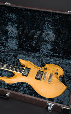 Style-S-Guitar SS-04 写真9 サムネイル