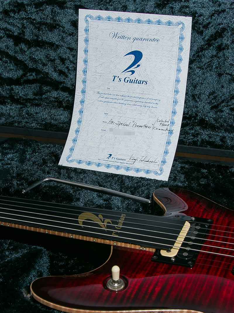 T's Guitars Arc-Special Prometheus Selected Flame Maple Crimson Burst 10