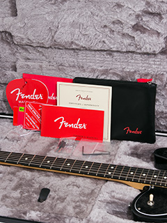 Fender USA American Professional Telecaster Deluxe ShawBucker Silver Burst 2017 写真10 サムネイル