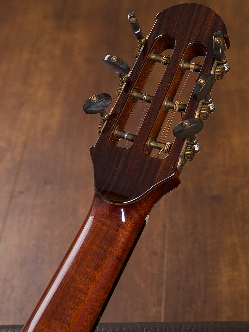 Antonius Mueller S-6 Brazillian Rosewood 6