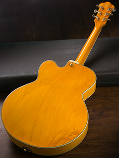 Ibanez PM2-AA Pat Metheny Signature 2019 全体裏面 サムネイル