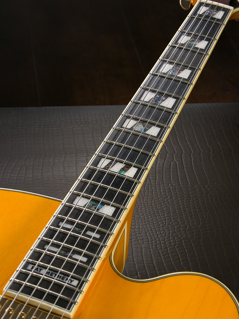 Ibanez PM2-AA Pat Metheny Signature 2019 7