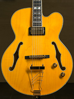 Ibanez PM2-AA Pat Metheny Signature 2019 写真9 サムネイル