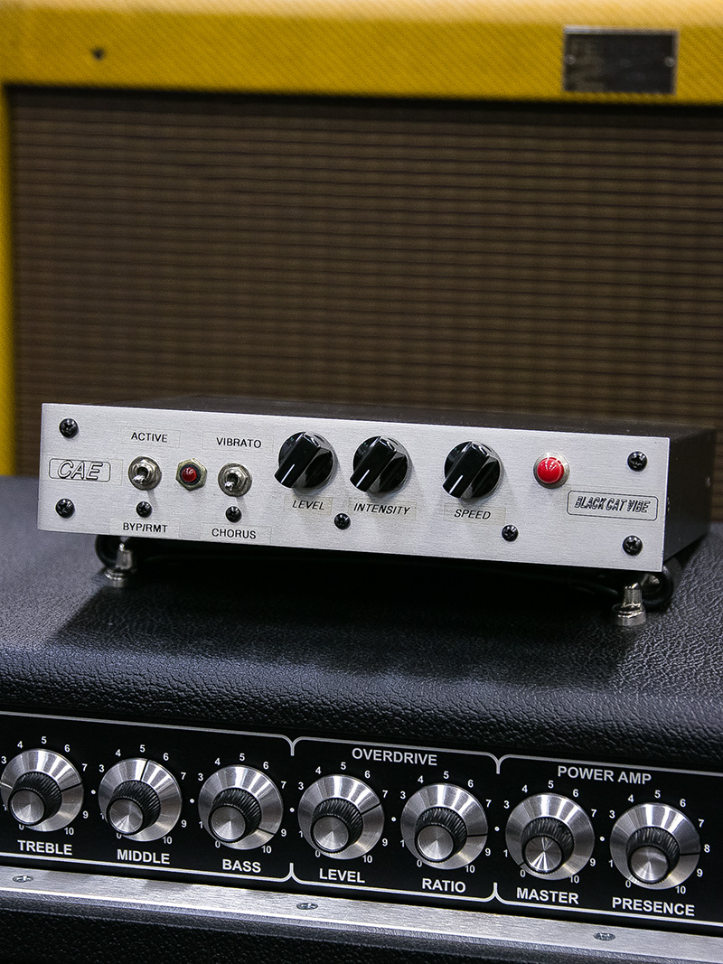 Custom Audio Electronics(CAE) Black Cat Vibe 1