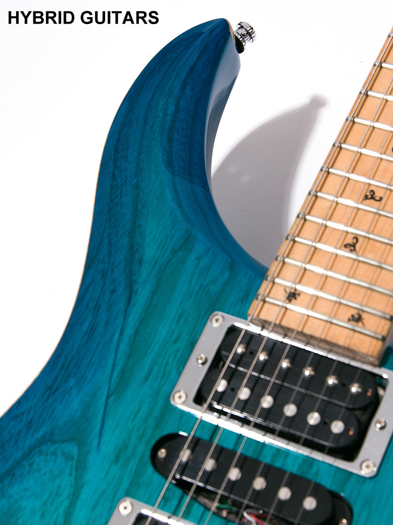 G-Life Guitars DSG Classic Royal Blue Turquoise 10