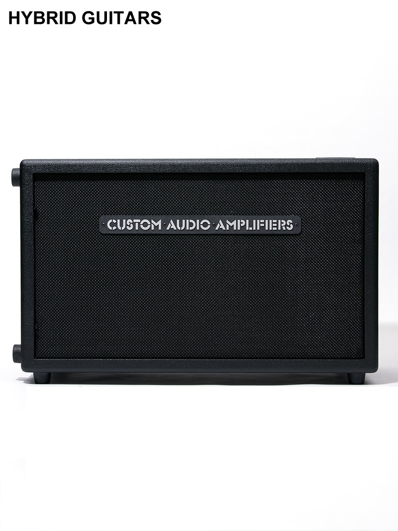 Custom Audio Amplifiers 212 Cabinet with Warehouse Veteran 30 1