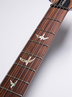 Paul Reed Smith(PRS) Custom 24 10TOP Quilt Angry Larry 2017 写真11 サムネイル