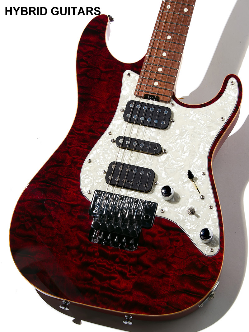 Schecter EX-V-22 Black Cherry 2011 3