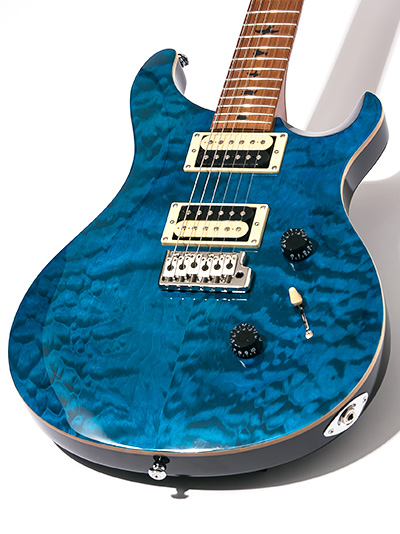 Paul Reed Smith(PRS) 