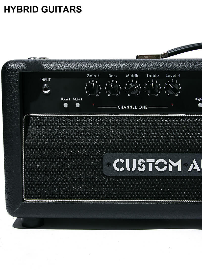 Custom Audio Amplifiers OD100 Head EL34 3