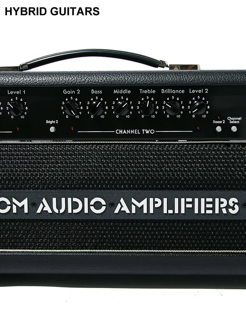 Custom Audio Amplifiers OD100 Head EL34 4
