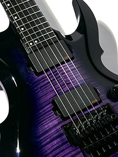 E-II FRX FM Raindeer Blue 2015 写真10 サムネイル