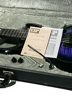 E-II FRX FM Raindeer Blue 2015 写真12 サムネイル