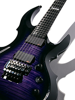 E-II FRX FM Raindeer Blue 2015 写真9 サムネイル