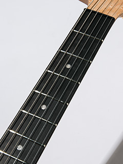Washburn Nele Deluxe Nuno Bettencourt signature 2020 写真11 サムネイル