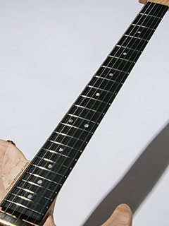 Washburn Nele Deluxe Nuno Bettencourt signature 2020 指板 サムネイル